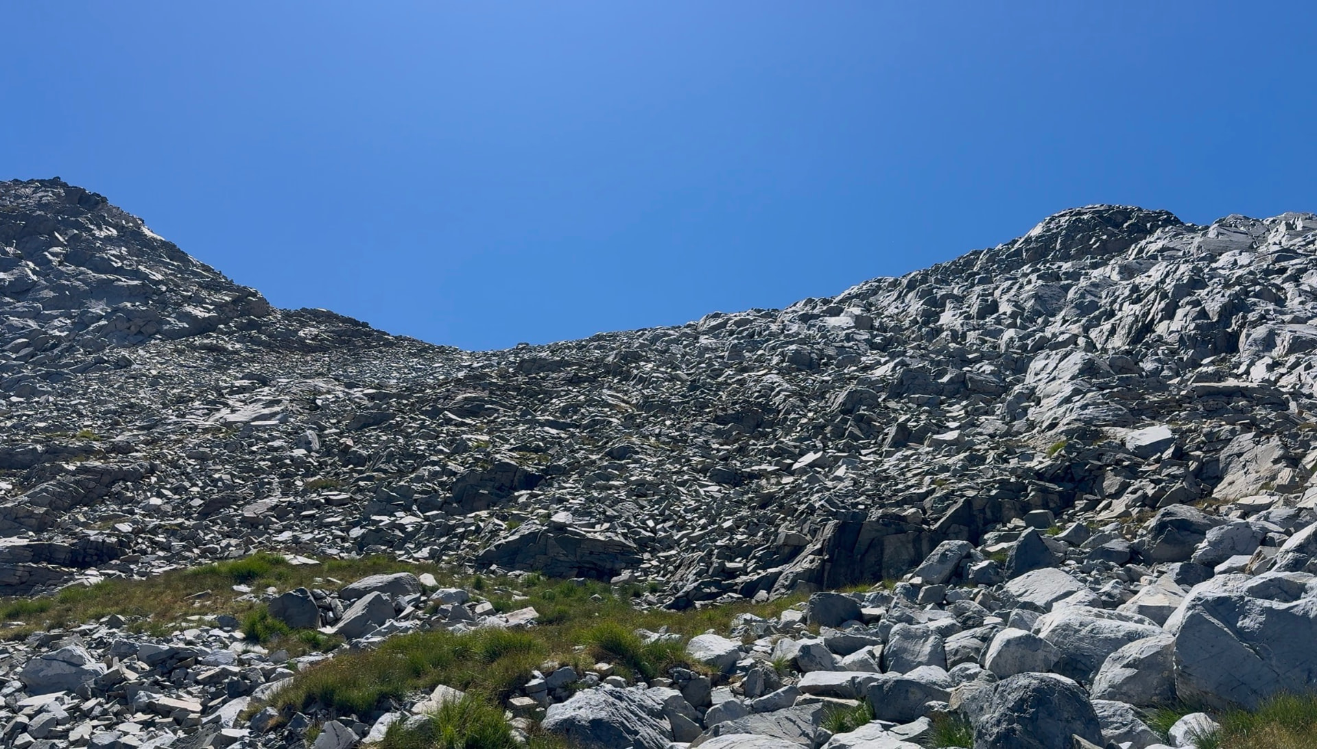 Whitebark Pass